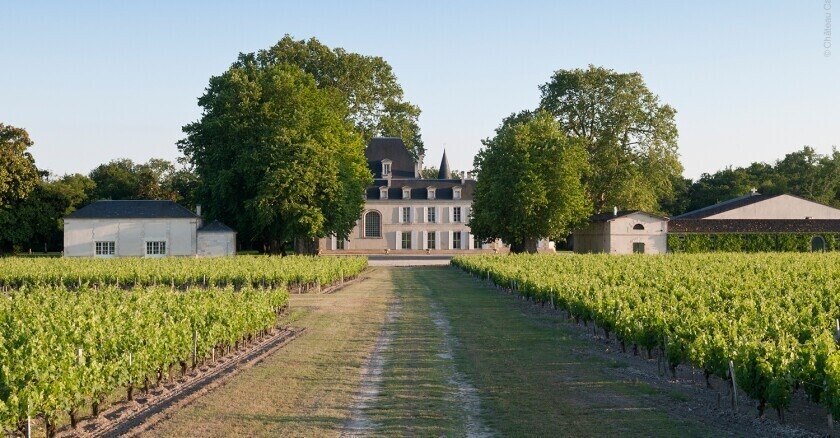 chateau cantemerle 1