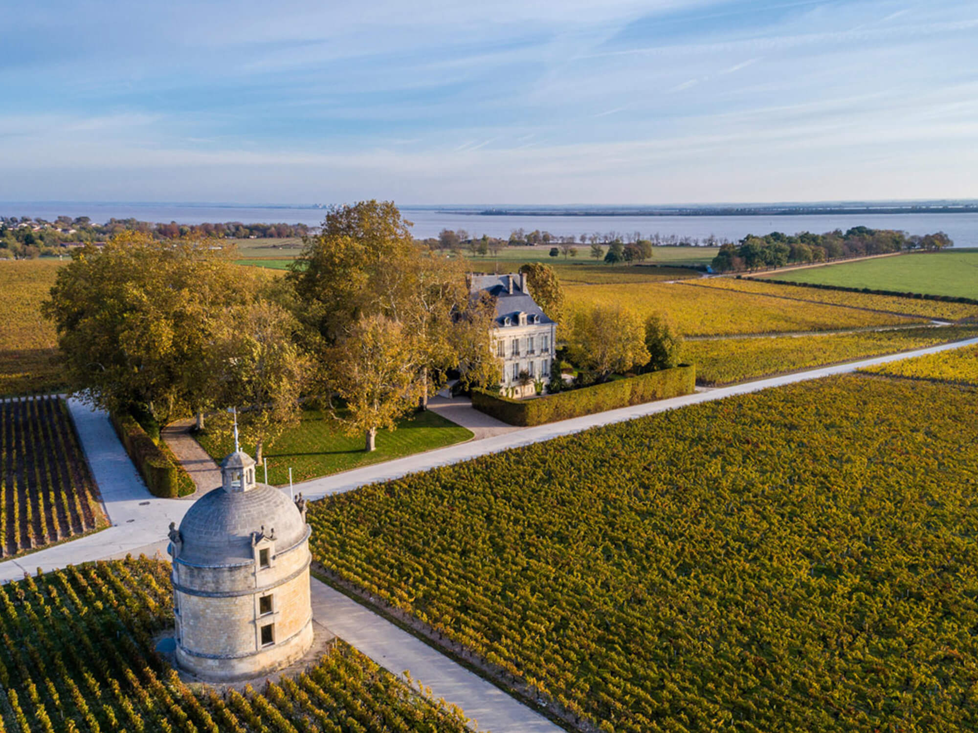 chateau latour 1