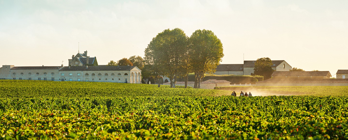 chateau mouton rothschild